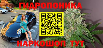 мдпв Рузаевка