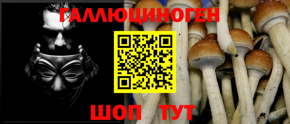 Псилоцибиновые грибы прущие грибы Ртищево